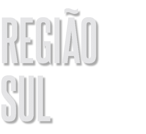 regi o sul