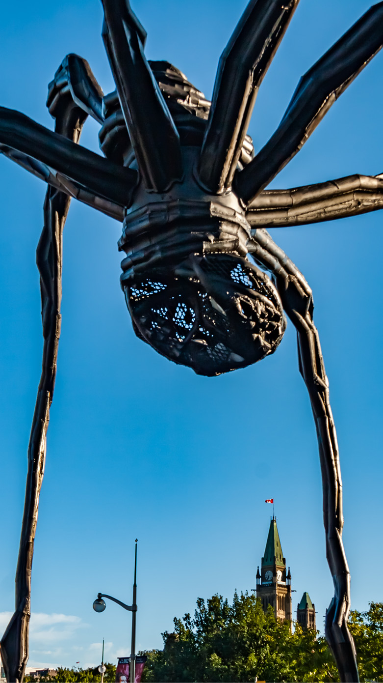 Maman (1999) is a bronze, stainless steel, and marble sculpture by the artist Louise Bourgeois  The sculpture, which depicts a spider, is among the world's largest, specify  measuring over 30 ft high and over 33 ft wide (927 x 891 x 1024 cm)  1  It includes a sac containing 26 marble eggs and its abdomen and thorax are made of ribbed bronze  The title is the familiar French word for Mother (akin to Mummy)  The sculpture was created in 1999 by Bourgeois as a part of her inaugural commission of The Unilever Series (2000), in the Turbine Hall at London's Tate Modern  1  This original was created in steel, with an edition of six subsequent castings in bronze  https:  en wikipedia org wiki Maman_%28sculpture%29