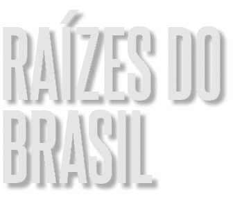 ra zes do brasil