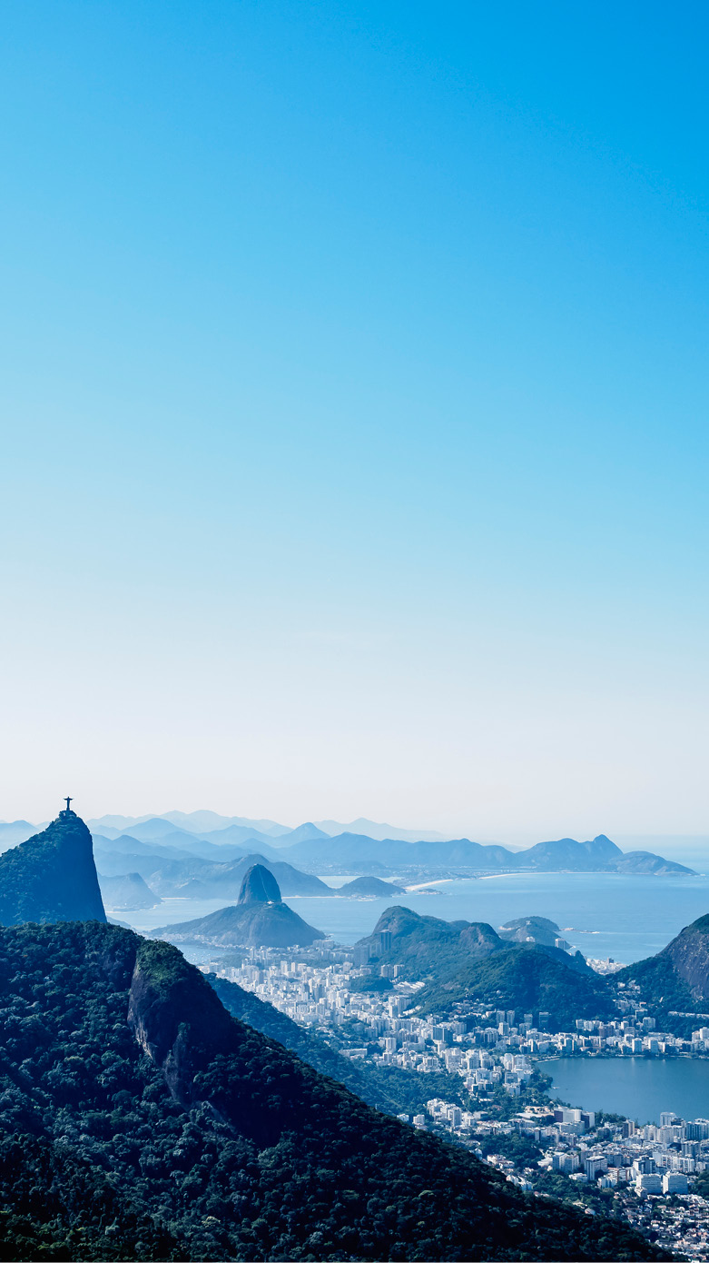 Cityscape seen from the Tijuca Forest National Park, Rio de Janeiro, Brazil