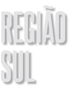 regi o sul