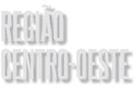 regi o centro-oeste