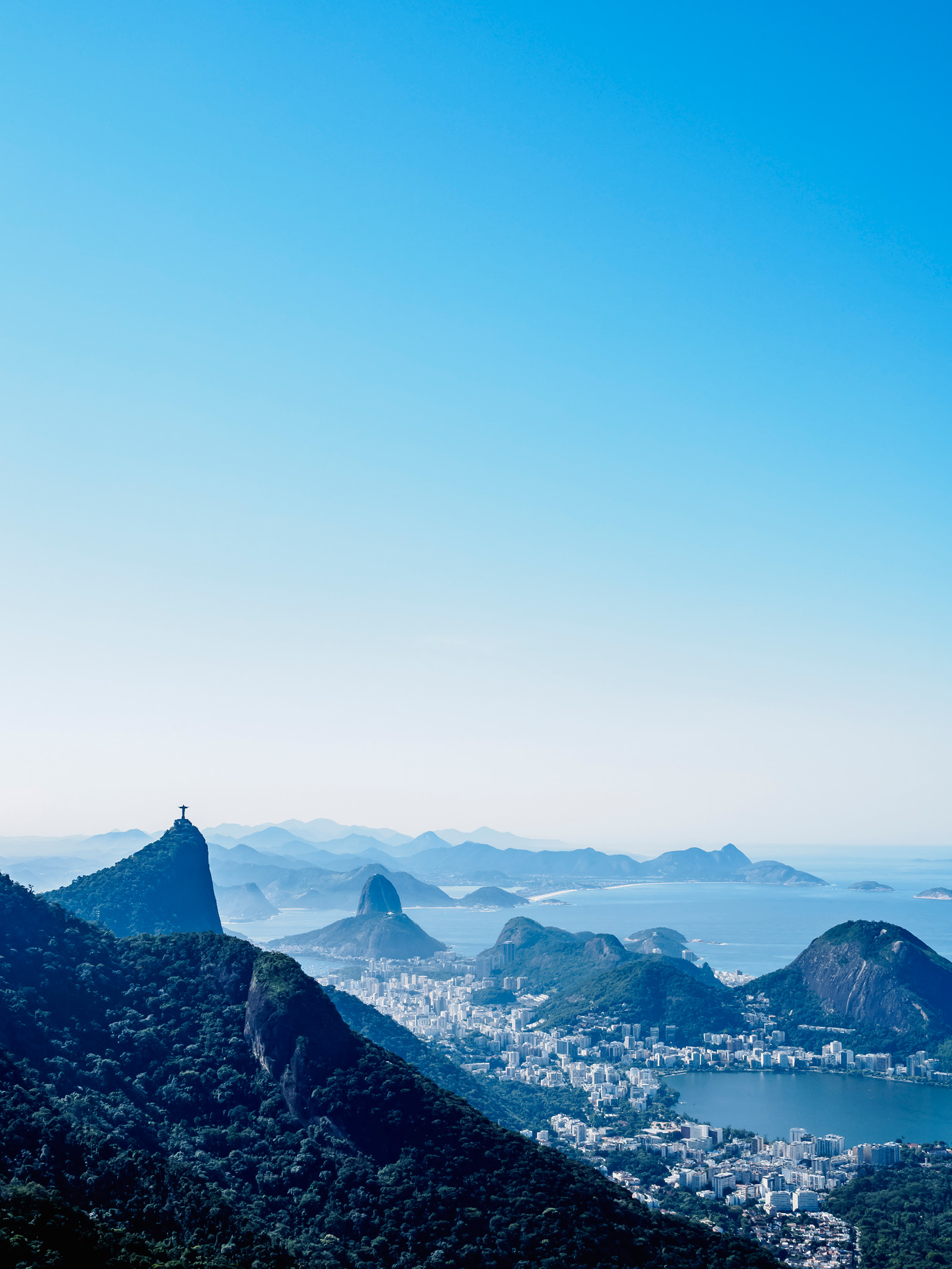 Cityscape seen from the Tijuca Forest National Park, Rio de Janeiro, Brazil
