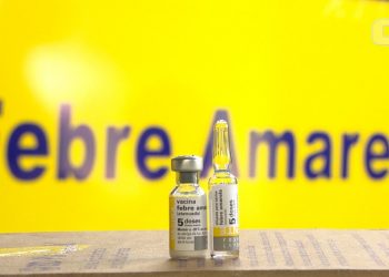 Saiba mais sobre vacina contra Febre Amarela e esteja protegido nas viagens