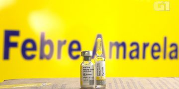 Saiba mais sobre vacina contra Febre Amarela e esteja protegido nas viagens