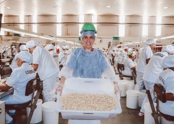 Castanha: paixão mundial