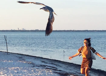 Conheça a Flórida por inteiro