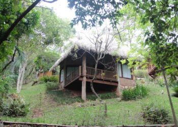 Quer fugir da rotina e ter uma experiência incrivel em meio à natureza?