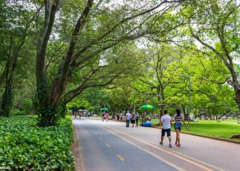 ITA Está Desenvolvendo Equipamento Capaz de Idenfiticar Coronavírus no ar