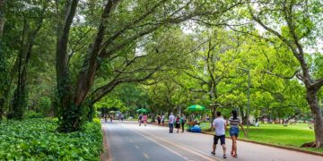 ITA Está Desenvolvendo Equipamento Capaz de Idenfiticar Coronavírus no ar