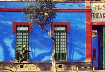 Viaje Sem Sair de Casa com a VemTambém e visite La Casa Azul