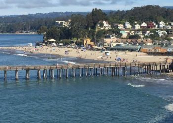 Viaje Sem Sair de Casa com a VemTambém por um percurso muito além de Napa Valley