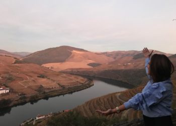 Vila Galé Collection Douro – Um Hotel Moderno na Margem do Rio Douro