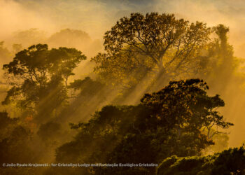 Hotel na Amazônia vende fotos para ajudar famílias carentes