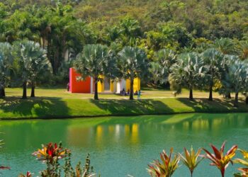 Inhotim: um roteiro perfeito