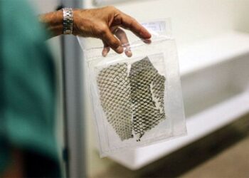 Pesquisa cearense com pele de tilápia ganha o Prêmio Euro Inovação