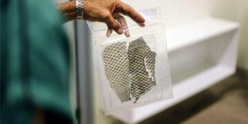 Pesquisa cearense com pele de tilápia ganha o Prêmio Euro Inovação