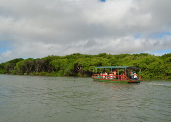 Passeio de barco pelo Rio Cocó é retomado; saiba como participar