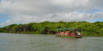 Passeio de barco pelo Rio Cocó é retomado; saiba como participar
