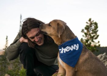 Plataforma permite que os cães falem com seus donos