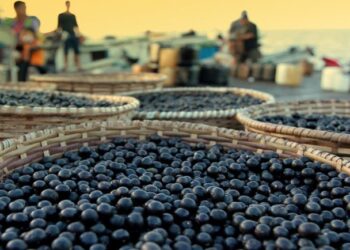 Ministério do Turismo fecha parceria com IFB para pesquisa sobre Turismo Gastronômico