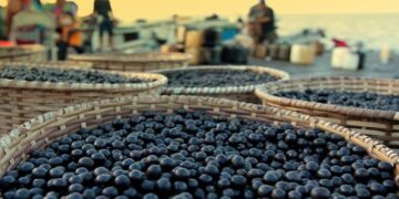 Ministério do Turismo fecha parceria com IFB para pesquisa sobre Turismo Gastronômico