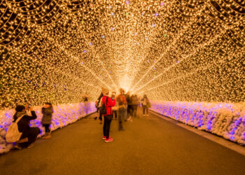 Inverno no Japão: luzes e encantos no país inteiro