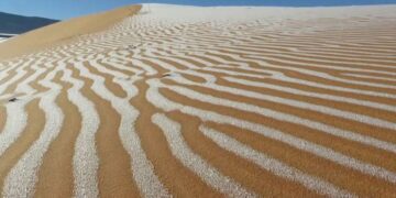 Neve cai no meio do deserto em evento raro