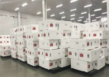 Lote dos imunizantes da Covid-19, do Ceará, chega em Fortaleza