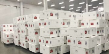 Lote dos imunizantes da Covid-19, do Ceará, chega em Fortaleza