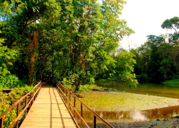 Lugares para você aproveitar com as crianças