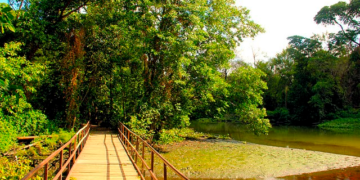 Lugares para você aproveitar com as crianças