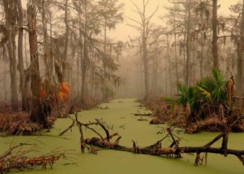 Lugares assustadores e mal-assombrados pelo mundo. O segundo você não teria coragem de visitar
