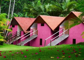 Regularização de serviços turísticos no país cresce 85% em quatro anos