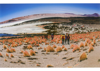Painel da Fotografia Cearense Contemporânea é lançado hoje