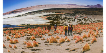 Painel da Fotografia Cearense Contemporânea é lançado hoje