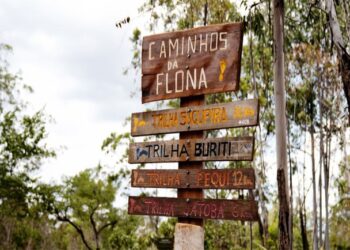 Trilha Sucupira, em Brasília, é a terceira a integrar a RedeTrilhas