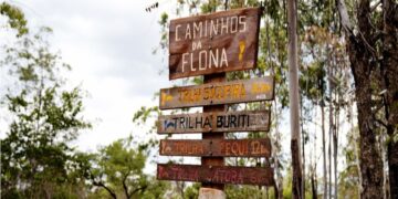 Trilha Sucupira, em Brasília, é a terceira a integrar a RedeTrilhas