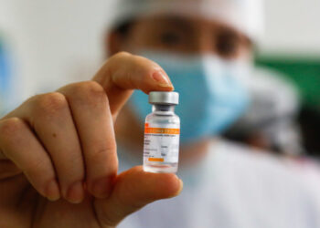 Uso emergencial da CoronaVac é aprovado pela OMS; vacinados poderão entrar na UE quando fronteiras forem reabertas