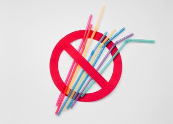 Canudos plásticos são proibidos por lei no Ceará