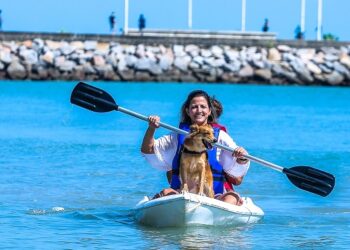 Fortaleza é a primeira cidade do Brasil a investir no turismo pet friendly