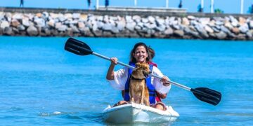 Fortaleza é a primeira cidade do Brasil a investir no turismo pet friendly