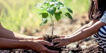 No Dia da Árvore, Prefeitura de Fortaleza realiza doação de mudas