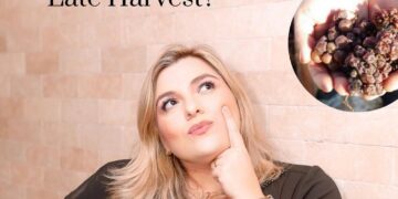O que é um Late Harvest?