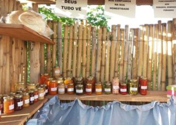 Barraquinha no Paraná funciona sem atendente confiando na honestidade dos clientes