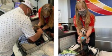 Casal encontra seu cachorro dentro da mala de viagem em aeroporto