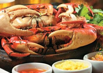 OMT lança concurso mundial para startups de turismo gastronômico