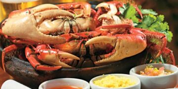 OMT lança concurso mundial para startups de turismo gastronômico