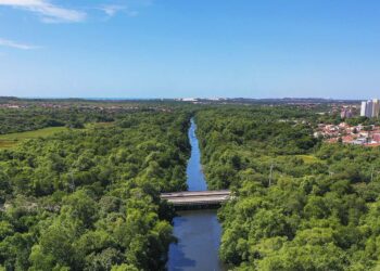 Ceará reduz emissão de gases do efeito estufa