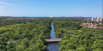 Ceará reduz emissão de gases do efeito estufa